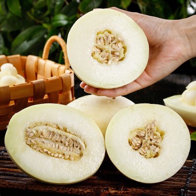 阎良甜瓜新鲜小籽蜜瓜水果头茬整箱香瓜现摘当季香甜2-4.5斤批发图3