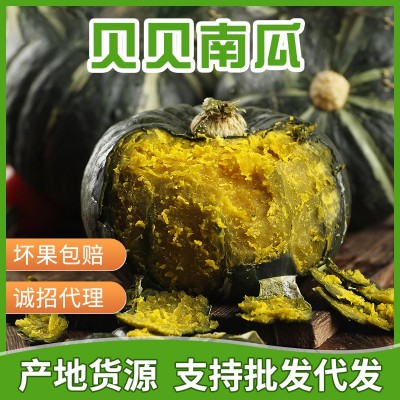 批发代发 诚招代理山东贝贝南瓜应季水果板栗味香糯图2