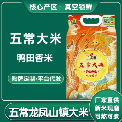 五常大米鸭田香米10斤5kg一袋东北新米稻花长粒香米厂家批发代发图2