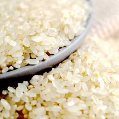 五常大米胚芽米2.5kg5斤东北新米长粒米香米大米5kg一袋厂家批发图3