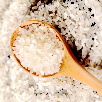 五常大米胚芽米2.5kg5斤东北新米长粒米香米大米5kg一袋厂家批发图4