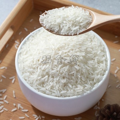 2023新米稻金乡5kg虾仔米广西大米批发10斤丝苗米长粒香米佛山图3