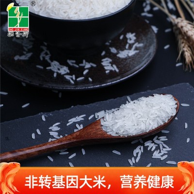 稻金乡5kg丝苗油粘10斤装香米2023新米广西长粒香晚籼米工厂直发图3