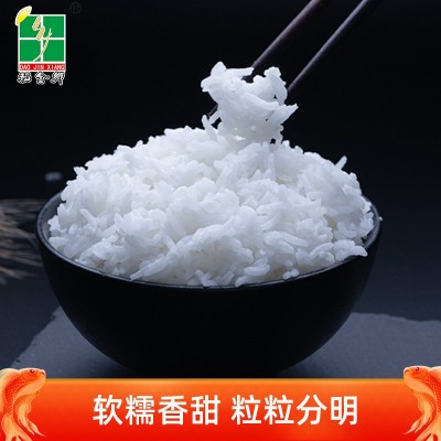 稻金乡5kg丝苗油粘10斤装香米2023新米广西长粒香晚籼米工厂直发图5