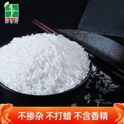 稻金乡5kg丝苗油粘10斤装香米2023新米广西长粒香晚籼米工厂直发图4