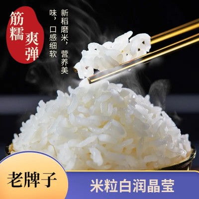【巢湖旺】5kg新鲜猫牙米长粒香米煲仔饭炒饭米饭丝苗米厂家直营图3