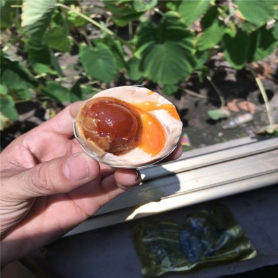 鸭中宝海鸭蛋 20个（70克）北部湾红树林流油熟咸鸭蛋厂家直供图4