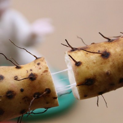 20枚装 恋潮牌海鸭蛋 北海红树林散养鸭蛋(60g/枚) 咸鸭蛋包邮图3