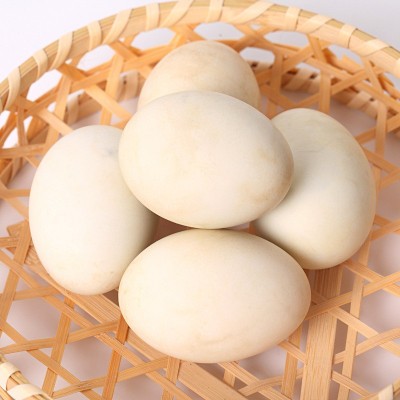 高邮村多油咸蛋 流油咸鸭蛋 厂家直销团购批发 20只65G礼盒装图4