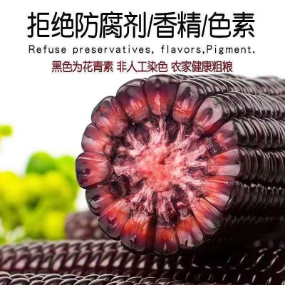 河北黑糯玉米真空10棒8棒粘糯玉米新鲜农家紫玉米棒即食代餐整箱图3