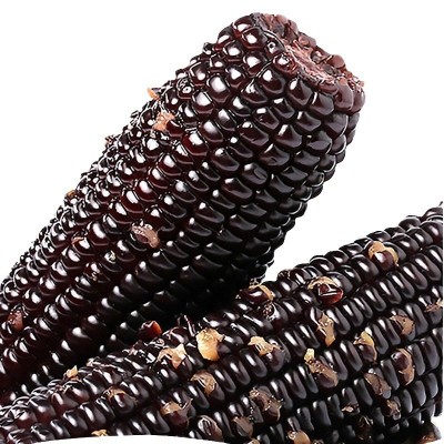 黑糯玉米真空包装香糯甜玉米开袋即食玉米棒子整箱贴牌加工图4