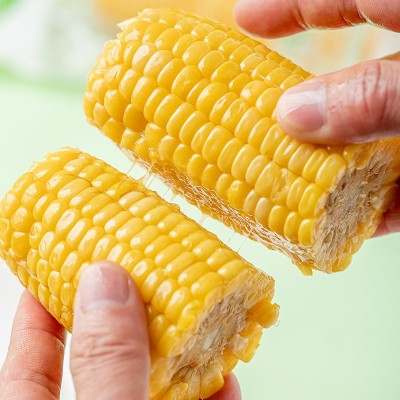念初好物糯玉米棒子即食批发真空装整箱10根甜玉米一件代图2