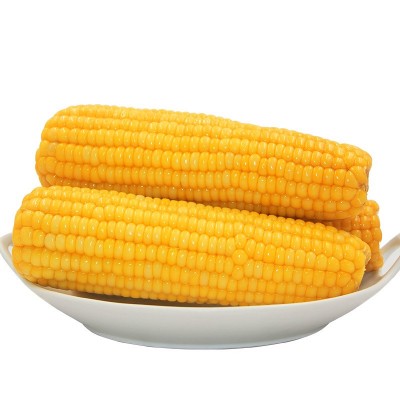 念初好物糯玉米棒子即食批发真空装整箱10根甜玉米一件代图4
