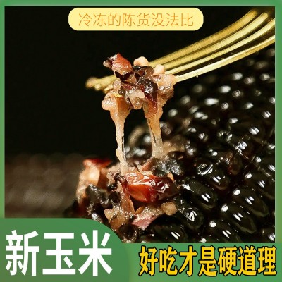 念初好物黑混装糯玉米10棒8棒玉米新鲜糯玉米香甜真空玉米棒整箱图2