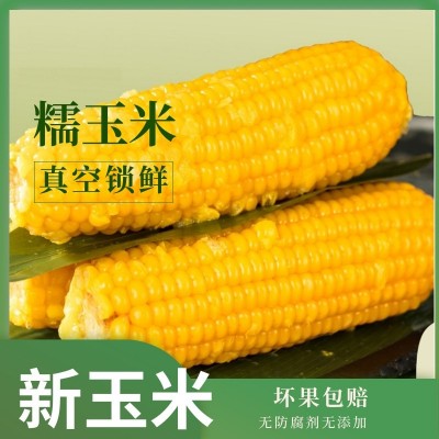念初好物黑混装糯玉米10棒8棒玉米新鲜糯玉米香甜真空玉米棒整箱图4
