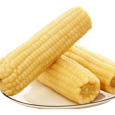 念初好物黑混装糯玉米10棒8棒玉米新鲜糯玉米香甜真空玉米棒整箱图3