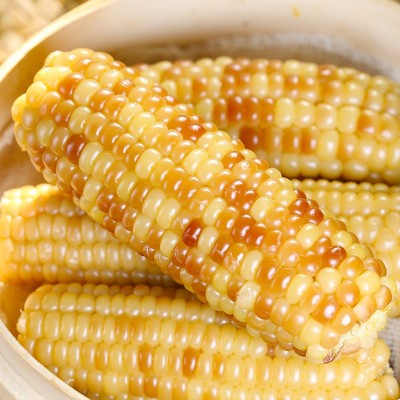 厂家生产定制 香甜玉米粘玉米新鲜玉米黄玉米甜糯玉米图2