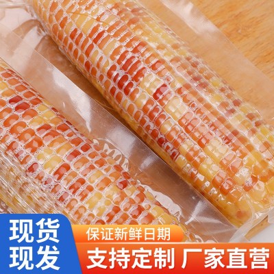 批发香甜玉米云南西双版纳糯玉米10支 花糯玉米 糯玉米 黏玉米图4