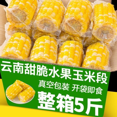 云南水果甜玉米段真空包装开袋即食玉米学生宿舍早餐低脂免煮代餐图3