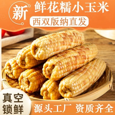 云南西双版纳香糯小玉米儿童早餐粗粮花糯新鲜现摘真空甜糯 玉米棒图2