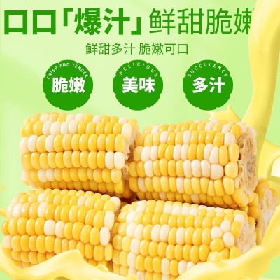 5斤云南水果甜玉米段开袋即食真空包装玉米学生宿舍早餐免煮代餐图5