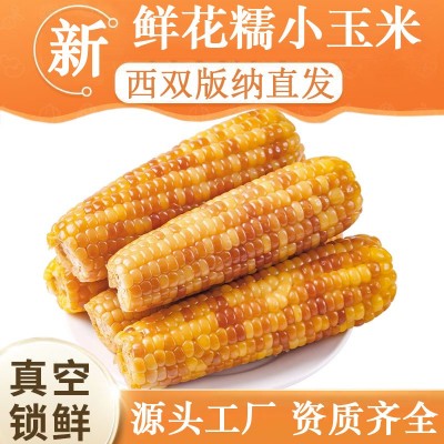 云南西双版纳拇指玉米新鲜真空手指小玉米迷你现摘甜白香糯 宝宝餐图3