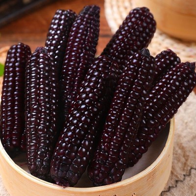 云南西双版纳拇指玉米新鲜真空手指小玉米迷你现摘甜白香糯 宝宝餐图2