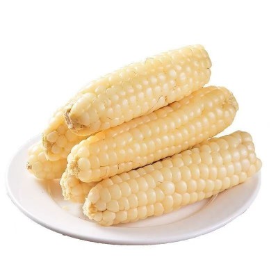 云南西双版纳拇指玉米新鲜真空手指小玉米迷你现摘甜白香糯 宝宝餐图5