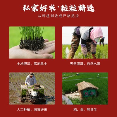 新米当季新米 东北大米 秋田小町 圆粒大米2.5kg 包邮真空装图5