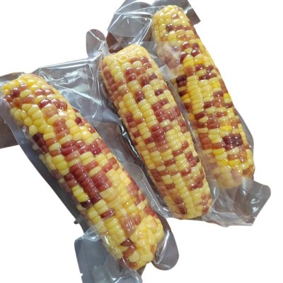 源头厂家直销水果玉米批发真空包装爽脆多汁开袋即食散装花糯玉米图2