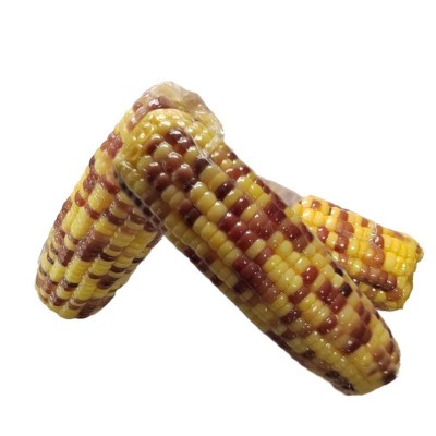 源头厂家直销水果玉米批发真空包装爽脆多汁开袋即食散装花糯玉米图3