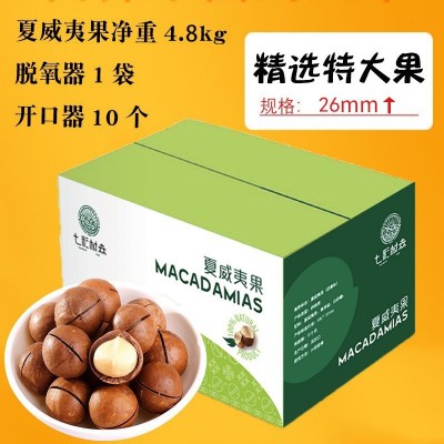 5公斤箱新货夏威夷果大颗粒原味奶香味坚果零食散装批发净重4.8kg图4
