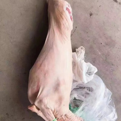 白条羊冷冻带皮全羊烤全羊内蒙古羊肉整只白条羊火锅烧烤商用20k图3