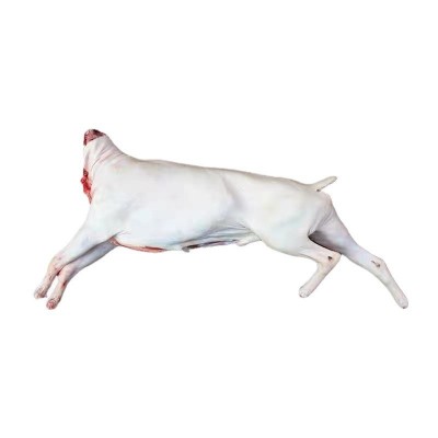 白条羊冷冻带皮全羊烤全羊内蒙古羊肉整只白条羊火锅烧烤商用20k图4