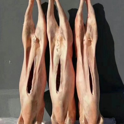 白条羊冷冻带皮全羊烤全羊内蒙古羊肉整只白条羊火锅烧烤商用20k图5