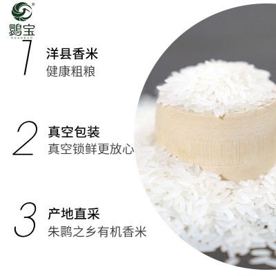 新米洋县香粘米汉秋香五谷杂粮陕西洋县特产大米宏伟璀璨米10图2