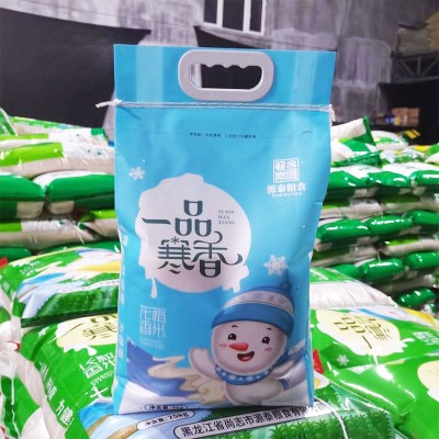 纯正龙稻18米2024年新米10斤黑龙江东北大米包邮真空米砖长粒粳米图3