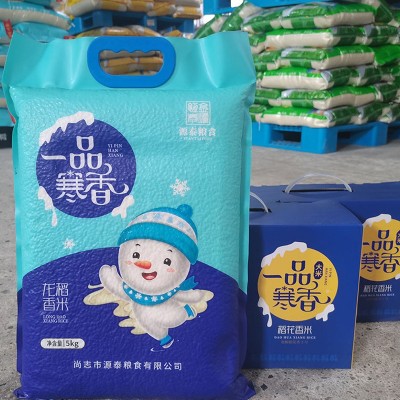 纯正龙稻18米2024年新米10斤黑龙江东北大米包邮真空米砖长粒粳米图2