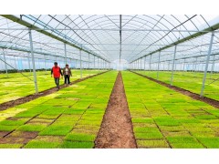 农业农村部：现代化的国家农作物种质资源新库已建