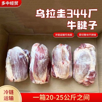 乌拉圭344厂牛腱子 新鲜冷冻原切牛腱子餐饮商用独立小包装腱子肉图3