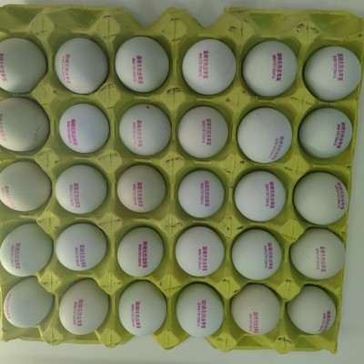 富硒无抗绿壳蛋/精品包装360枚/箱 毛重34-38斤图2