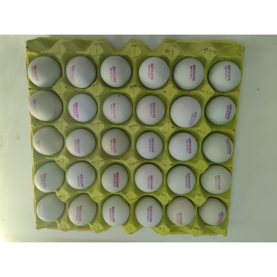 富硒无抗绿壳蛋/精品包装360枚/箱 毛重34-38斤图5