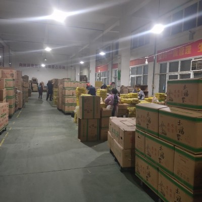 农二农五虫草土鸡蛋，养殖场直供，日捡日发，全国物图4