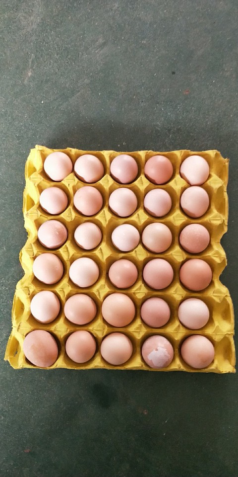 8891168262_566230676