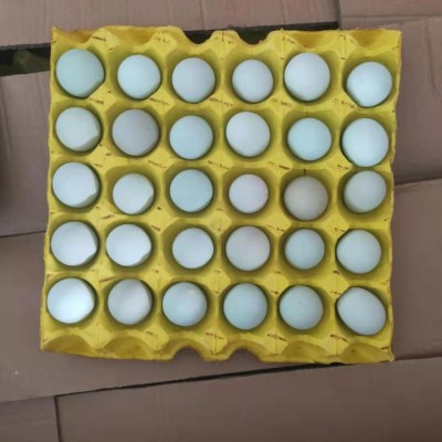 精品小绿壳蛋，480枚装 毛重41-43斤，日捡日发