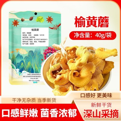 批发榆黄蘑东北野生干货菌菇榆黄蘑鸡油菌新鲜杂菌蘑菇家用榆黄蘑图2