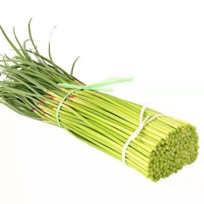 农家自产新鲜蒜苔现摘速发当季新鲜蔬菜批发保鲜蒜苔农家肥种植图5
