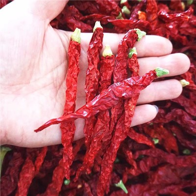 二荆条干辣椒微辣特香贵州四川特产农家辣椒皱椒二金条辣椒批发图3