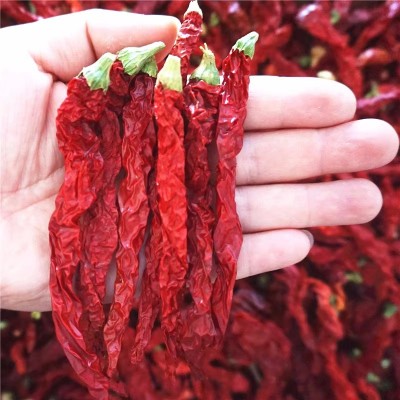 二荆条干辣椒微辣特香贵州四川特产农家辣椒皱椒二金条辣椒批发图2