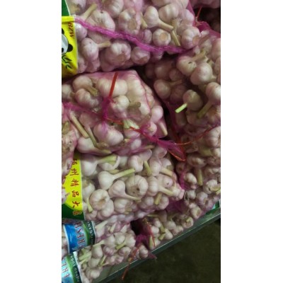 邳州优质净蒜鲜蒜头图2